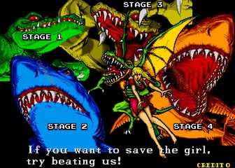 image de The First Funky Fighter